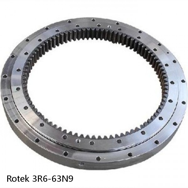 3R6-63N9 Rotek Slewing Ring Bearings #1 image