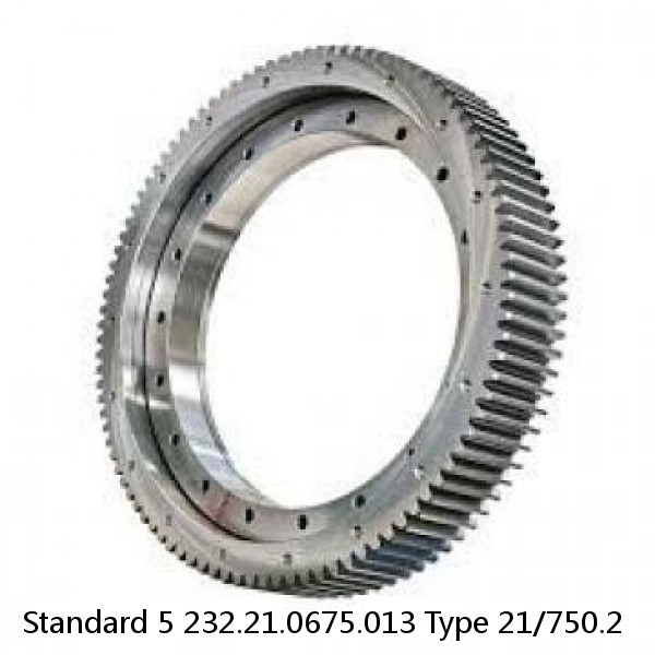 232.21.0675.013 Type 21/750.2 Standard 5 Slewing Ring Bearings #1 image